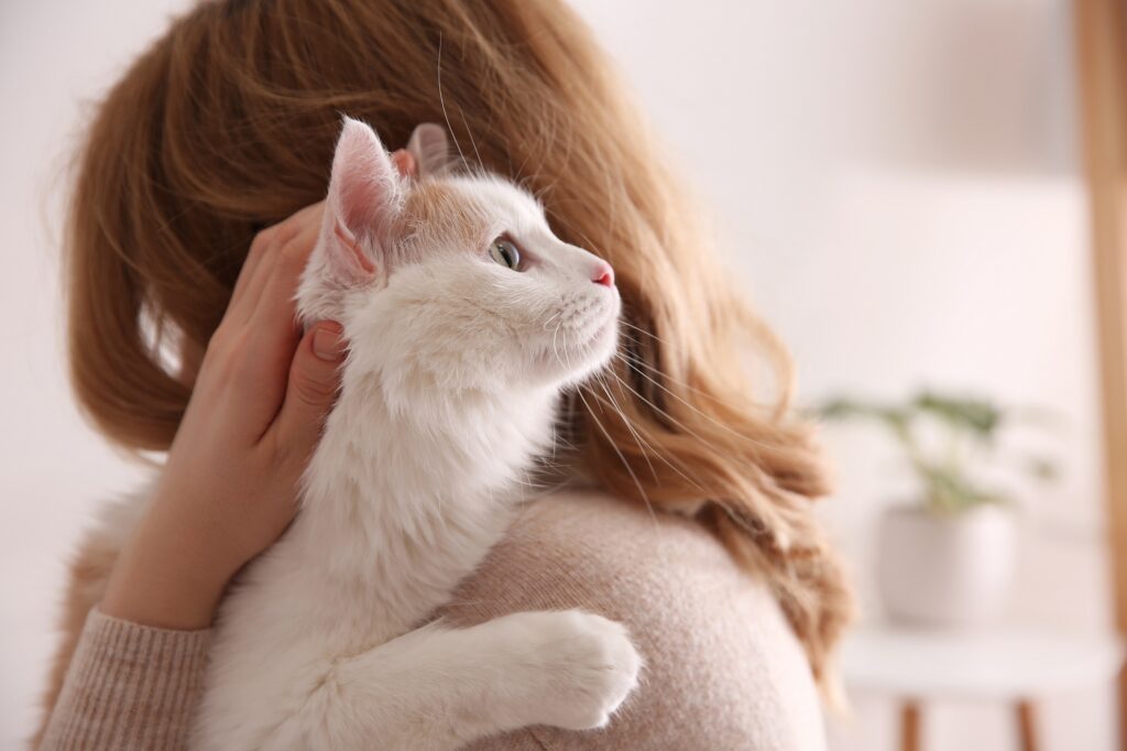 Νέα έρευνα αποκαλύπτει: Οι γάτοι κάνουν τους ανθρώπους πιο συναισθηματικούς 
