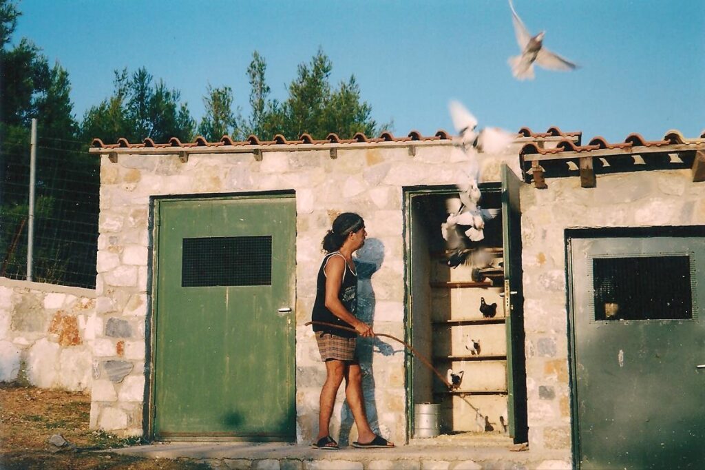 Ένα παντοτινό σπίτι για τα αδεσποτάκια: Η αγάπη του Γιάννη Γιοκαρίνη για τους ζώους
