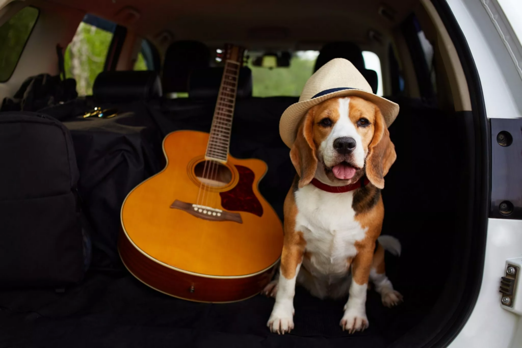 Οι μουσικές που χαλαρώνουν τους σκύλους κατά τα ταξίδια"
