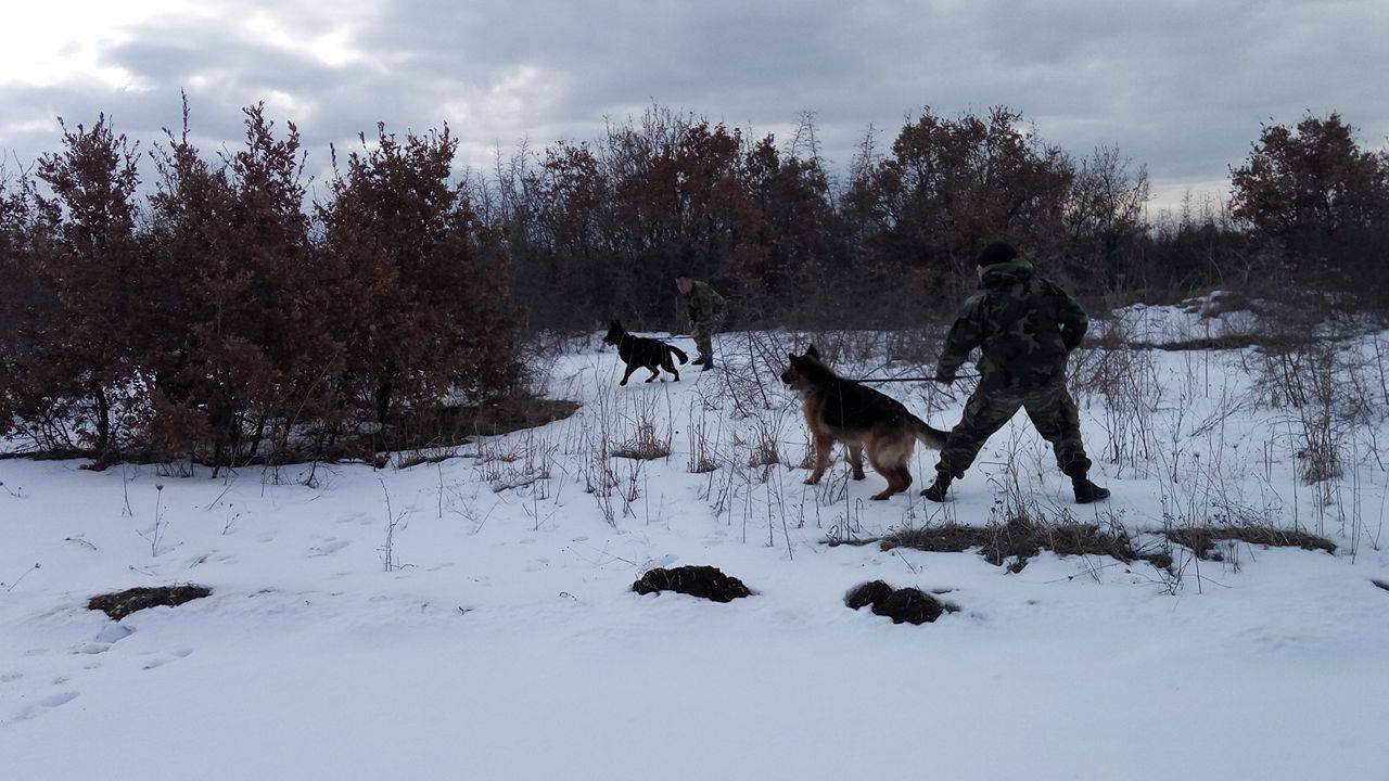 Οι στρατιωτικοί σκύλοι που φυλάνε τα σύνορα της Ελλάδας