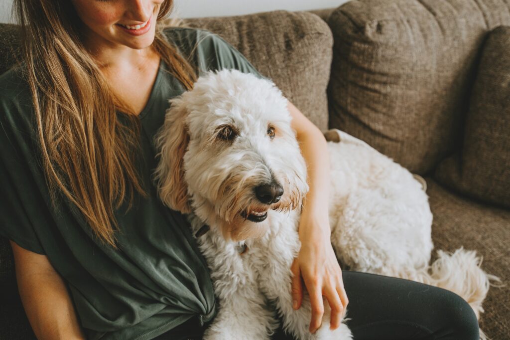 ΝέοΠώς να επιλέξετε τον καλύτερο pet sitter για το ζωάκι σας
