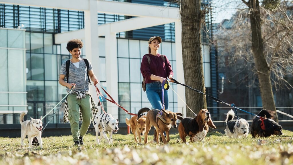 ΝέοΠώς να επιλέξετε τον καλύτερο pet sitter για το ζωάκι σας
