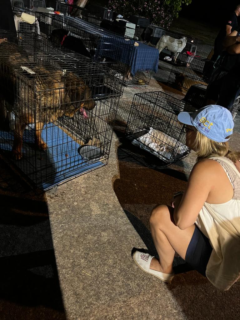 Όνομαυ: Ζήστε την εθελοντική προσφορά για τα ζώα με την ομάδα Act Pawsi+ive!
