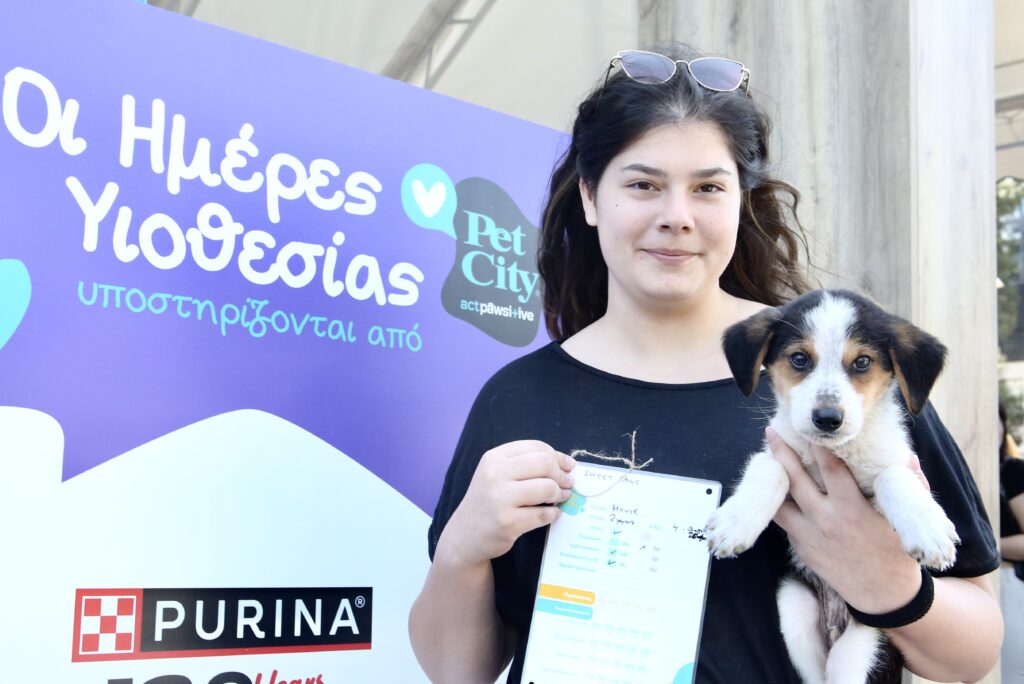 Υιοθεσία στο Pet City