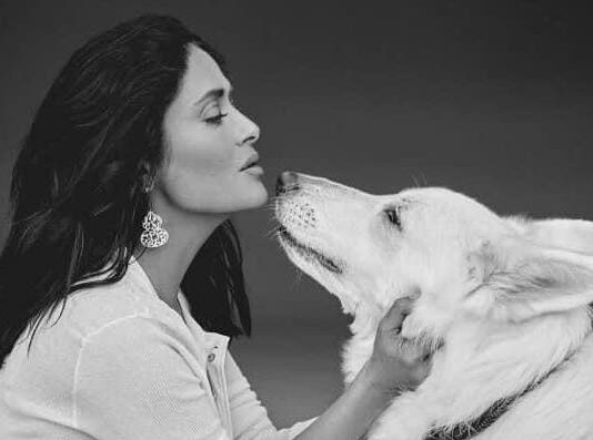Να φέρετε ζώα στο σπίτι όπως η Salma Hayek: Αποφύγετε τα διπλωματικά επεισόδια και δημιουργήστε ένα καλοδιατηρημένο παραδείγματος τροπής ζωής 