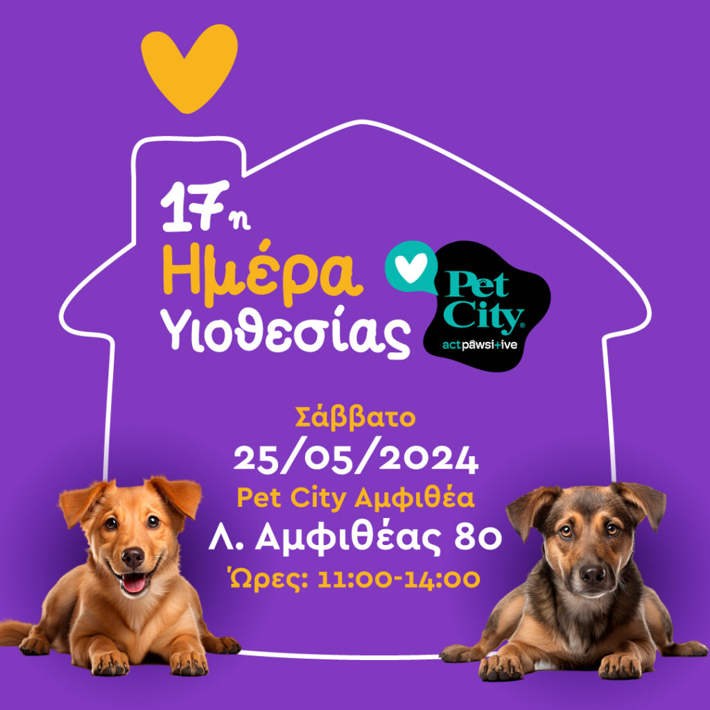 Όλη η αγάπη για τα αδέσποτα φίλαράκια μας στην 17η Ημέρα Υιοθεσίας Pet City στην Αμφιθέα" 